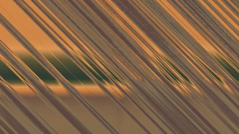 Abstract Pattern of Diagonal Lines with Gradient Colors in Warm Tones Stock Footage 337956018