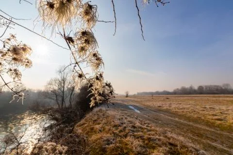 Abstract pattern with fresh snow on a sandy river beach 写真素材