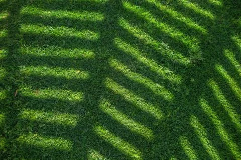 Abstract pattern green background. Unusual sun shadow at green grass lawn 스톡 사진