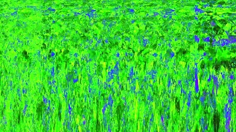 An abstract pattern with green, blue, and yellow colors Stock Footage 318799114