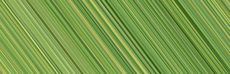 Abstract pattern green stripes for background design. Stock Photos