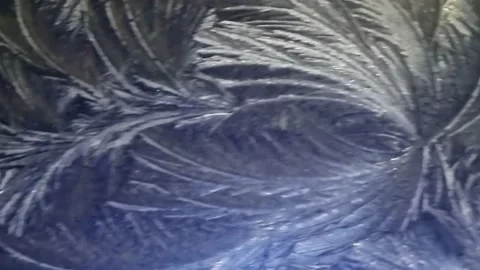 Abstract Pattern Ice on Blue Car Roof Hoar Frost 動画素材 167926251