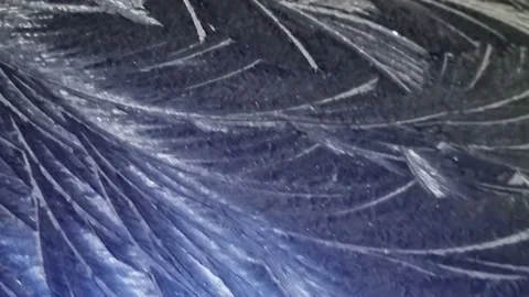 Abstract Pattern Ice on Blue Car Roof Hoar Frost 動画素材 167926253