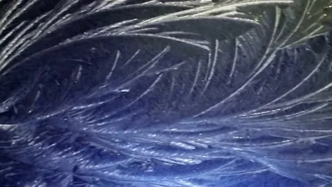 Abstract Pattern Ice on Blue Car Roof Hoar Frost Stock Footage 167926263