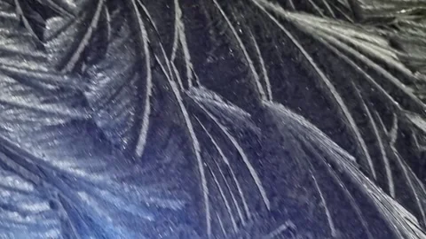 Abstract Pattern Ice on Blue Car Roof Hoar Frost Stock Footage 167926270