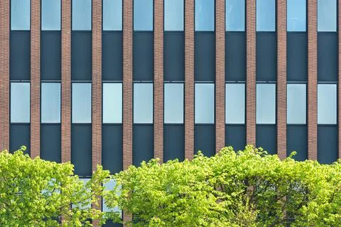 Abstract pattern image of skyscraper windows with green trees Stock Photos