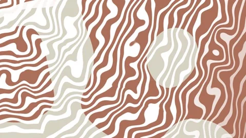 Abstract Pattern of Intersecting Curved Lines and Circles in Brown, White, .. Stock Footage 288977599
