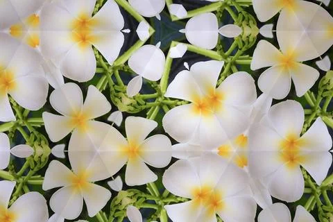 Abstract Pattern Kaleidoscope Foto stock