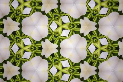 Abstract Pattern Kaleidoscope 写真素材