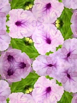 Abstract pattern kaleidoscope texture background 写真素材