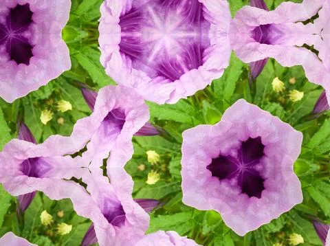 Abstract pattern kaleidoscope texture background Foto stock