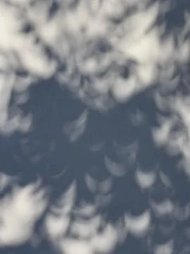 Abstract pattern of leaf shadows created during a partial solar eclipse Stock Photos