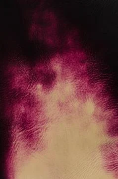 Abstract pattern on leather Stock Photos