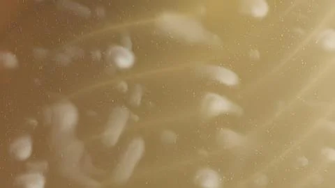 Abstract pattern of light beige and white swirling textures. 스톡 사진