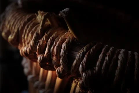 Abstract pattern macro close up for background. Stock Photos