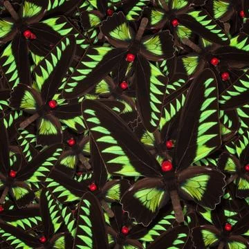 Abstract pattern maden from different colorful butterflies 스톡 사진