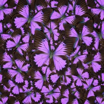 Abstract pattern maden from different colorful butterflies Stock Photos