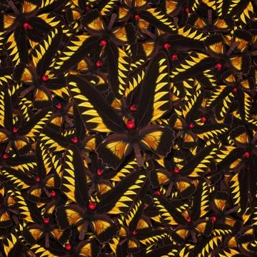Abstract pattern maden from different colorful butterflies Stock Photos