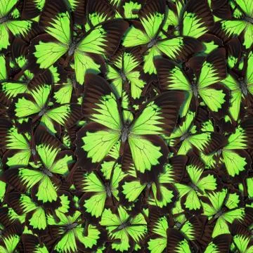 Abstract pattern maden from different colorful butterflies Foto stock