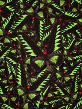 Abstract pattern maden from different colorful butterflies Stock Photos