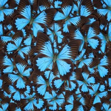 Abstract pattern maden from different colorful butterflies Stock Photos