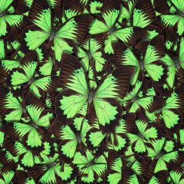 Abstract pattern maden from different colorful butterflies Foto stock