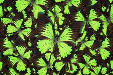 Abstract pattern maden from different colorful butterflies Foto stock