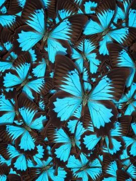 Abstract pattern maden from different colorful butterflies Stock Photos