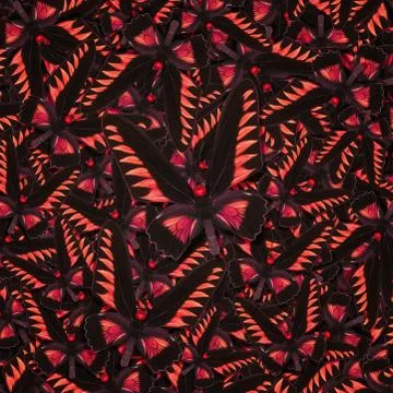 Abstract pattern maden from different colorful butterflies Foto stock