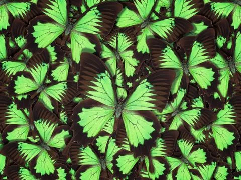 Abstract pattern maden from different colorful butterflies Foto stock