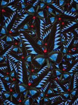 Abstract pattern maden from different colorful butterflies Stock Photos