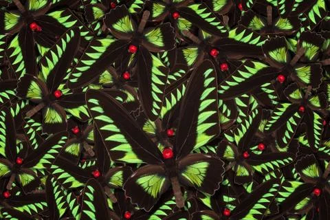 Abstract pattern maden from different colorful butterflies Foto stock