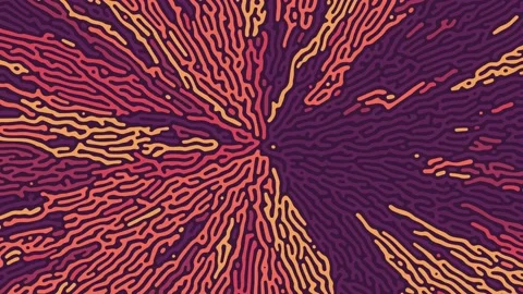 Abstract pattern maze labyrinth animation. puzzle shape Stock Footage 159825433