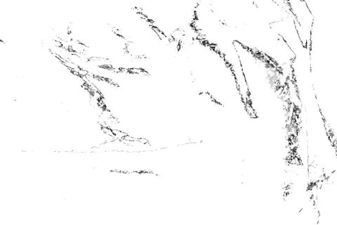 Abstract pattern of monochrome elements texture Illustrazione stock
