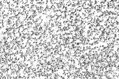 Abstract pattern of monochrome elements texture Illustrazione stock