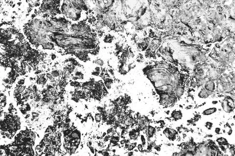 Abstract pattern of monochrome elements texture イラスト素材