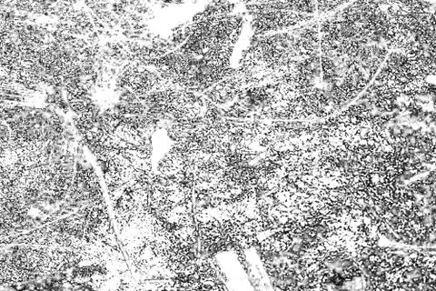 Abstract pattern of monochrome elements texture Stock Illustration