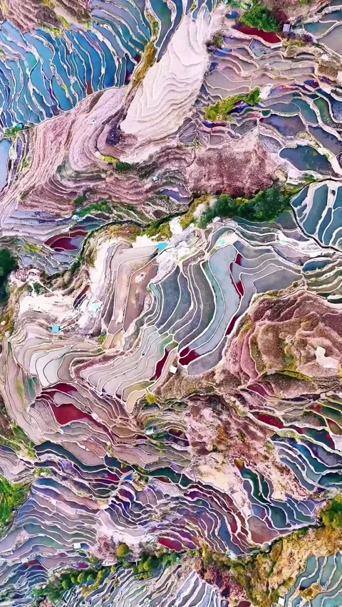 Abstract Pattern of Multicolored Water-Filled Terraced Fields Yunnan China Stock Footage 339517111