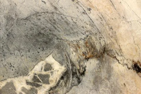 Abstract pattern natural marble for background and design Stock Photos