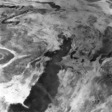 Abstract pattern natural marble black and white for background and design Foto stock