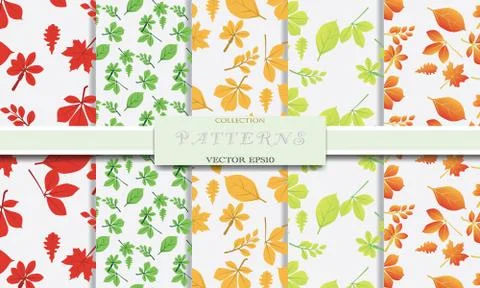 Abstract pattern nature of leaves design collection vector. Illustrazione stock