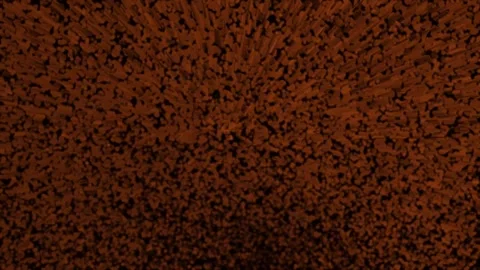 Abstract pattern of numerous small brown textured elements against a dark a.. Stock Footage 321454307
