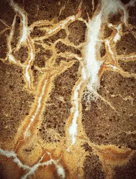 Abstract pattern on old plasters Stock Photos