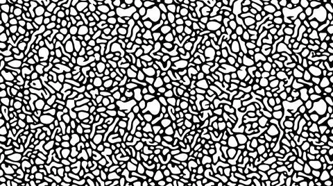 Abstract pattern of organic shapes and lines, black and white organic textu.. Stock Illustration