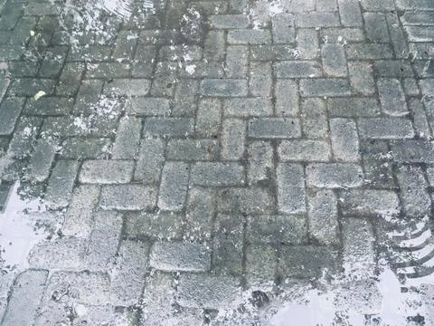 Abstract pattern of Paver Block in rain puddle - Stock Image Stock Photos