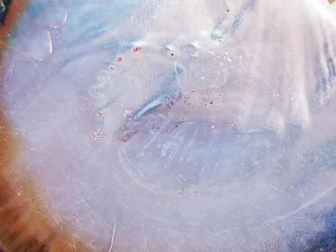 Abstract pattern of pearls Stock Photos