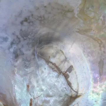 Abstract pattern of pearls Stock Photos