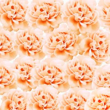 Abstract pattern Stock Photos