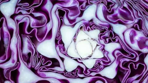 Abstract pattern purple cauliflower Vegetable slash , background textures Stock Photos