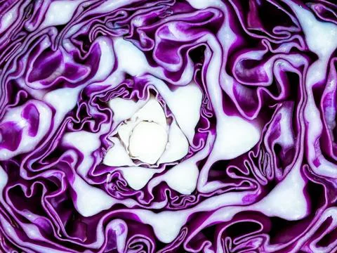 Abstract pattern purple cauliflower Vegetable slash , background textures Foto stock